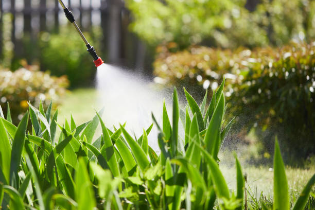24/7 Emergency Mosquito Control experts in Sparks, GA