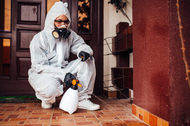 Reliable Mosquito Control contractor in Sparks, GA by Show Me Pest Control